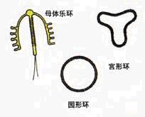 吉妮节育环图片