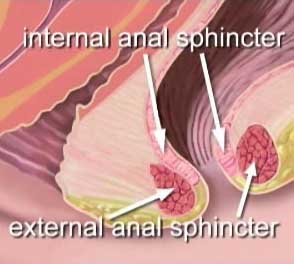 会阴修补术视频