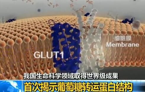 人类有望饿死癌细胞图片